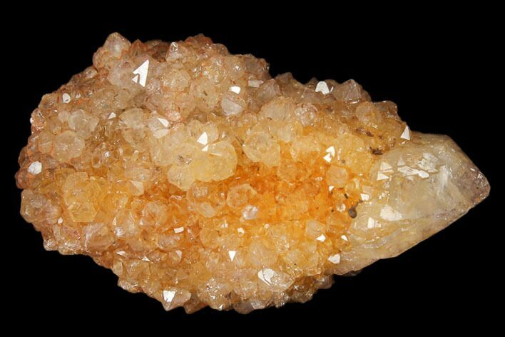 Sunshine Cactus Quartz Crystal - South Africa #122314